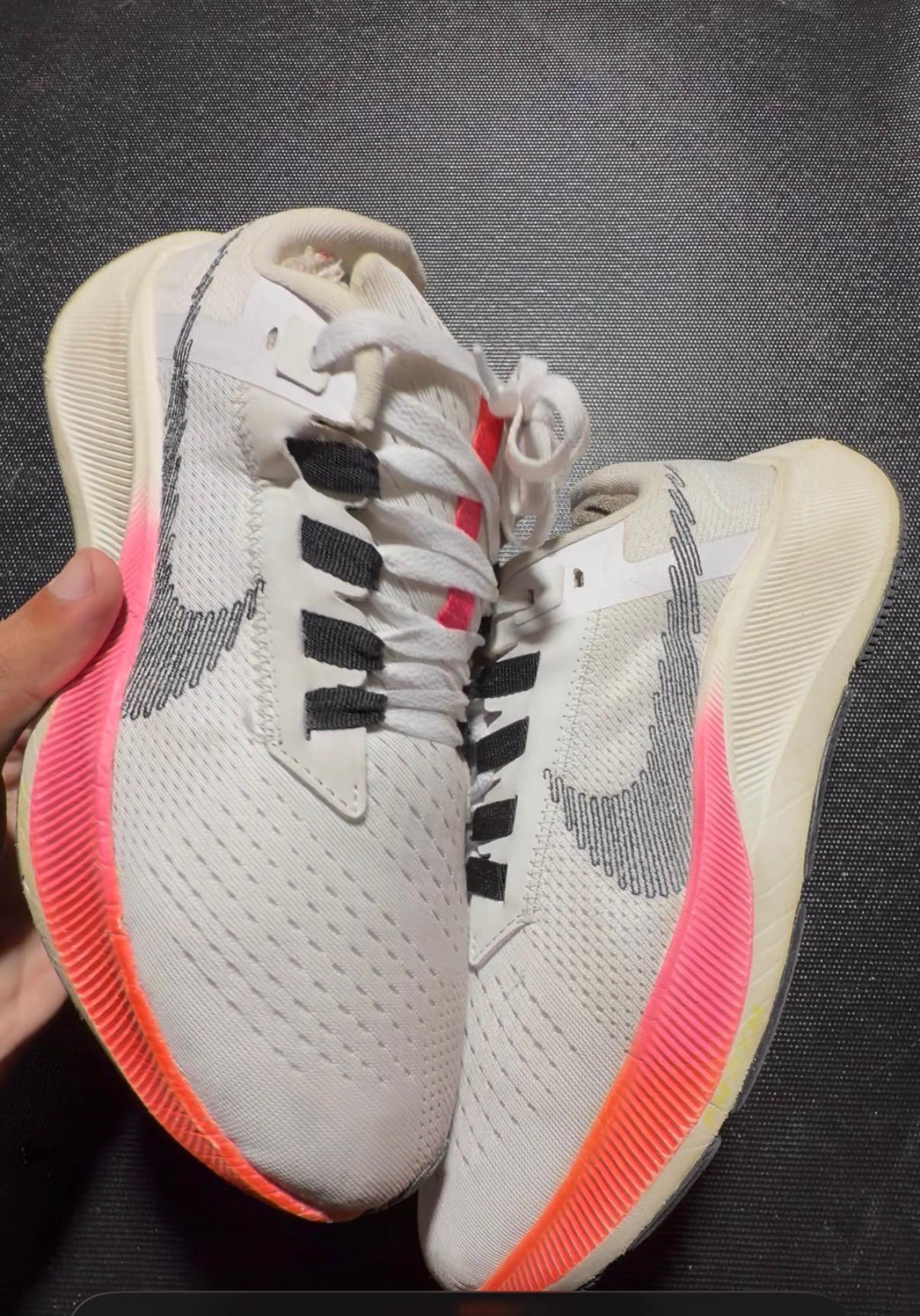 NIKE AIR ZOOM PEGASUS(PREMIUM EUR 43)